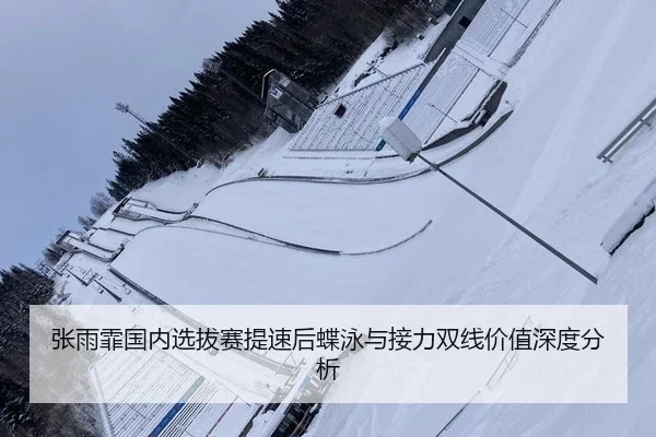 张雨霏国内选拔赛提速后蝶泳与接力双线价值深度分析